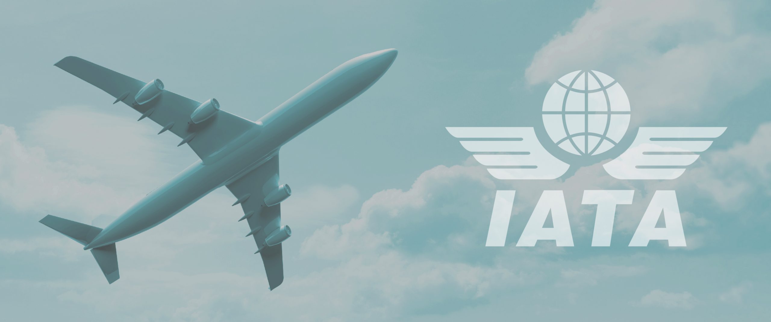 Nosotros_IATA